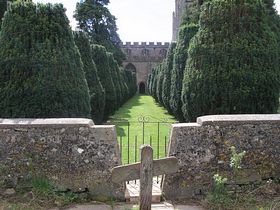 Avenue of Yews © Rod Morris